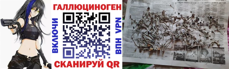 Купить  Шали  Псилоцибиновые грибы MAGIC MUSHROOMS 